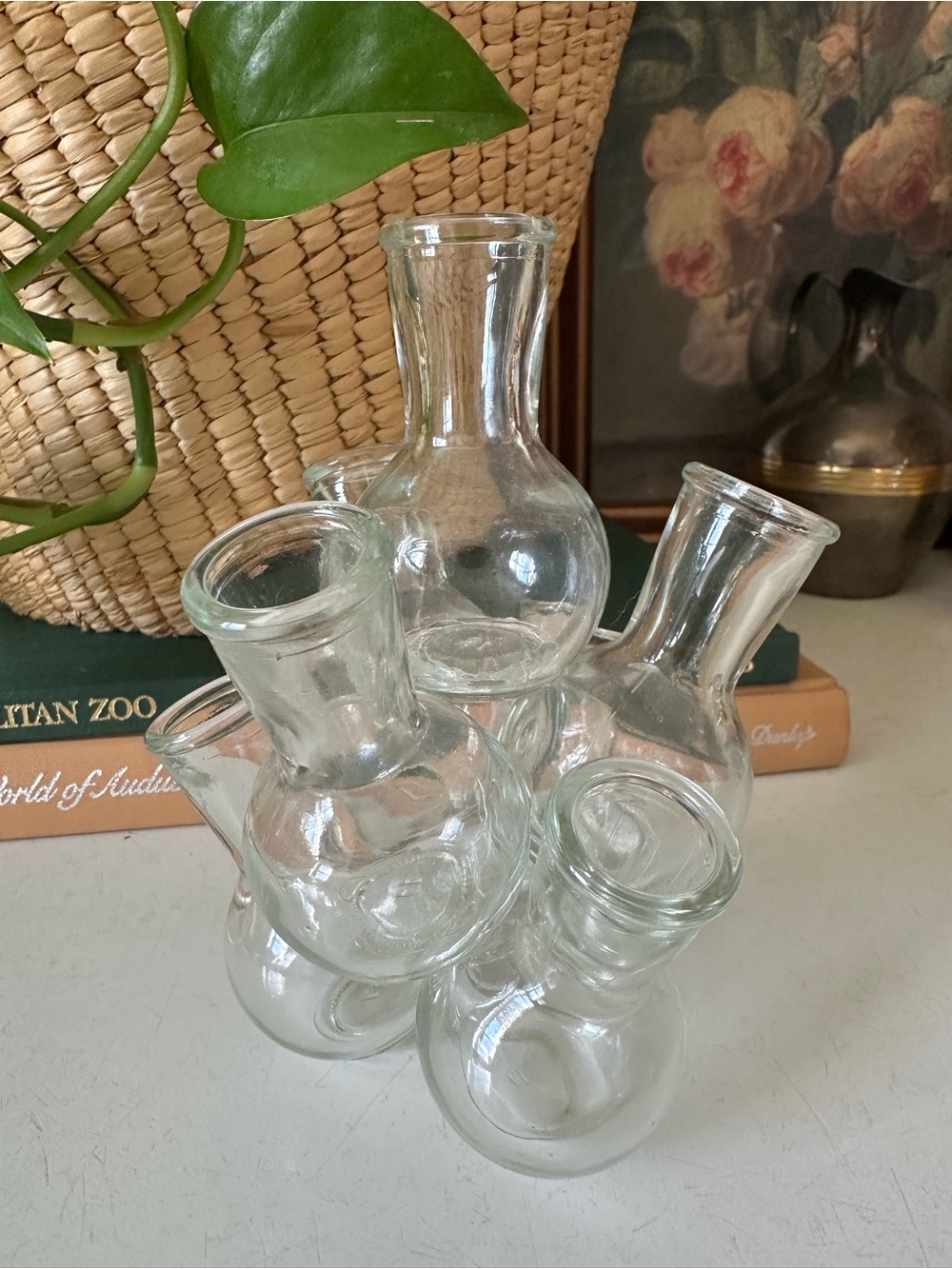 Vintage Glass Propagation Bud Vase Beaker
